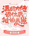 满级大佬退休后被迫养崽 单双的单