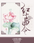 红尘四合小说讲什么