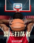 篮坛扫荡者无防盗