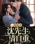 一夜惊喜：沈先生，请自重