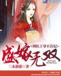 盛嫁无双之神医王爷不良妃