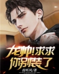 龙帅求求你别装了下载