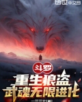 斗罗：重生狼盗，武魂无限进化