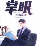 掌眼电视剧在线观看