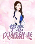 挚恋闪婚总裁全文免费阅读