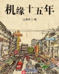 机缘十五年