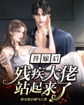 冷冰冰的残疾大佬站起来亲了我免费阅读