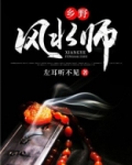 乡野风水师评书