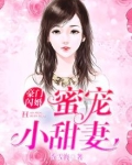 豪门闪婚:蜜宠小甜妻免费阅读
