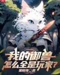 我的御兽怎么全是玩家啊