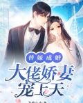 闪婚成瘾大佬娇妻宠上天全文免费观看