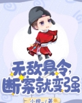 无敌县令几个案子