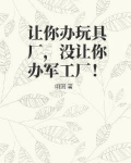 来玩具厂需要准备多少钱