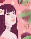 动车司机需要什么条件