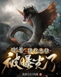 御兽进化瞎子