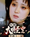 大明圣皇小说全文免费阅读