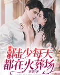 闪婚后我成了陆少的心尖宠全文阅读