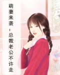 萌妻来袭：总裁老公不许走