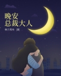 晚安总裁大人全文免费阅读