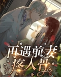 再遇前妻疼入骨 南风知我意