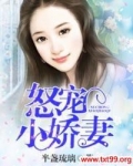 怒宠小娇妻txt