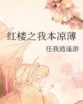 红楼之我本凉薄-任我逍遥游