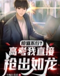高考枪手是什么违法行为