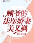 法医娇妻顾心妤