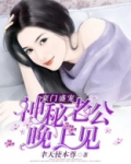 豪门盛宠:神秘老公晚上见 小说
