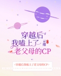 穿越后我嗑上了老父母的CP
