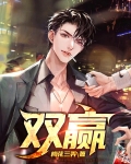 双赢集团旗下公司名单