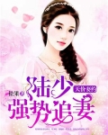 天价鲜妻陆少掌心宠