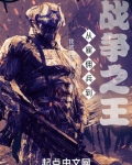 从雇佣兵到战争之王