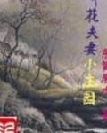 叫花夫妻小庄园的电视剧