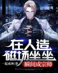 在人造磁场坐坐，瞬间成宗师