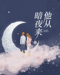 小说他从暗夜里来