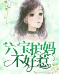 六宝联盟,妈咪不好惹