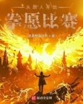 从路人开始拳愿比赛完整版