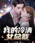 我的冷清女总裁