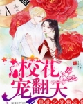 傲娇校花痞高手 小说