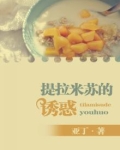 一块提拉米苏的成本