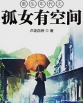 重生年代文孤女有空间