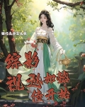 综影视之如懿传话本