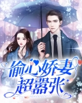 偷心俏冤家小说