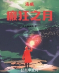 海贼：癫狂之月