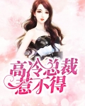 高冷总裁的电视剧