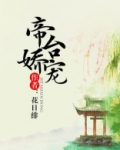 帝台娇宠全文免费阅读