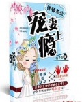 律师老公难说服免费阅读