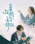 楚先生复婚请排队免费阅读