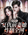 离婚复仇小说